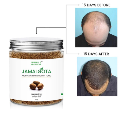 Jamalgota Ayurvedic Hair Growth Powder 100gm Each Pack of 2